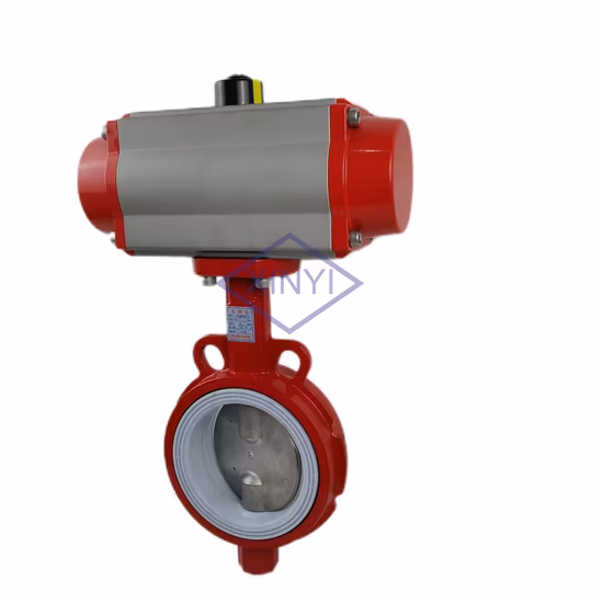 Pn16 鋳鉄ボディ空気圧アクチュエータ ウェーハ スタイル DN80 オンオフ FPM シール バタフライ バルブ