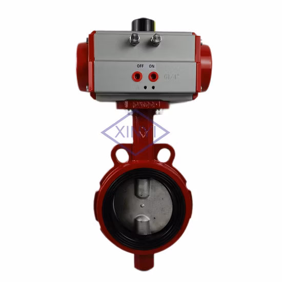 ステンレス鋼 304 バルブプレート CF8 ウェハースタイル DN100 オンオフバタフライバルブ